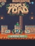 Temple Toad screenshot 1