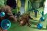 Zombie Infection (iPhone) screenshot 2
