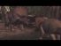 Jurassic Park: The Game 1 HD screenshot 13