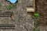 Lara Croft Tomb Raider: Legend screenshot 38