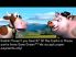 Cash Cow Deluxe screenshot 1