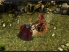 D&D: Arena of War screenshot 1