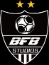 BFB Champions screenshot 2