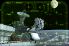 Astronaut: Spacewalk screenshot 3