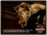 Jurassic Park: The Game 3 HD screenshot 2
