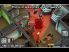 Tactical Soldier: Undead Rising screenshot 7