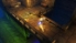 Taichi Panda screenshot 1