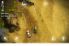 Reckless Racing 2 screenshot 10