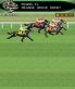 Breeders' Cup Horse Racing screenshot 2
