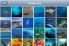 Nat Geo Kingdom of the Blue Whale Jigsaw Puzzle screenshot 6