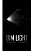 Dim Light screenshot 1
