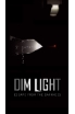 Dim Light screenshot 3