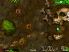 Anthill screenshot 3