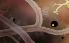 Botanicula screenshot 7