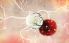 Botanicula screenshot 16