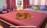 Cats & Dogs: Pets At Play screenshot 4