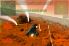 Fractal Combat screenshot 4