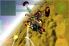 Fractal Combat screenshot 10