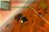 Fractal Combat screenshot 15
