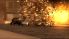 The Godfather: Mob Wars screenshot 4