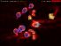 Silverfish Max screenshot 4