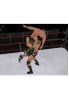 WWE 2009 screenshot 1