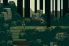 Superbrothers: Sword&Sworcery screenshot 15