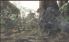Metal Gear Solid: Snake Eater 3D screenshot 3