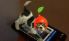 Nintendogs + Cats screenshot 12