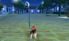 Nintendogs + Cats screenshot 14