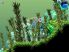 Aquaria screenshot 7