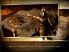 Lara Croft and the Guardian of Light screenshot 19