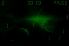 Last Defender screenshot 5