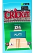 Mighty Cricket screenshot 4