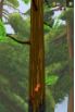 Nuts!: Infinite Forest Run screenshot 10