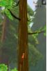Nuts!: Infinite Forest Run screenshot 11