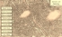 Aviary Attorney screenshot 1