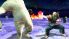 Tekken: Dark Resurrection screenshot 28