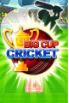 Big Cup Cricket screenshot 2