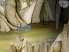 Les Rivières d’Alice - Graphique plaisir avec la OST Vetusta Morla screenshot 1