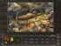 Amazon: Hidden Expedition screenshot 11