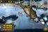 Tiny Troopers screenshot 5