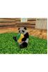 National Geographic Panda screenshot 1