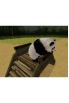National Geographic Panda screenshot 2