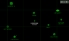Legends of Fore screenshot 2