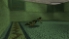 Tomb Raider I screenshot 2