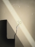 Prune screenshot 5