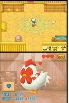 Harvest Moon DS screenshot 5
