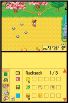 Harvest Moon DS screenshot 8