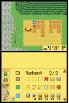 Harvest Moon DS screenshot 10